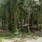 Cabanas Don Eduardo